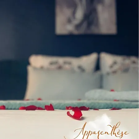 Apparenthese Jacuzzi Sauna Apartment Poitiers